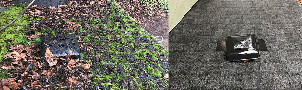 Roof-Cleaning-Moss-Removal-bg